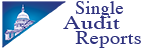 Audit Reports Icon