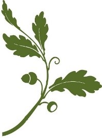 Stem - Forestry