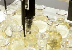 Biochemical Oxygen Demand